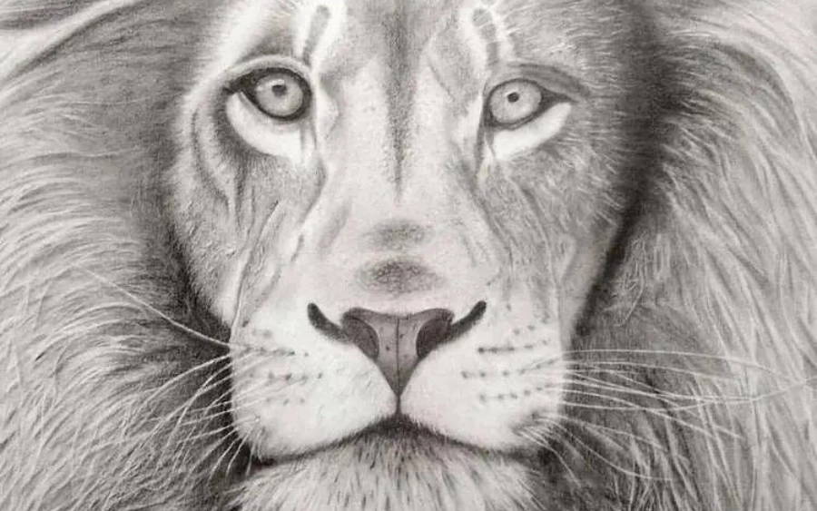 Minha era no desenho realista