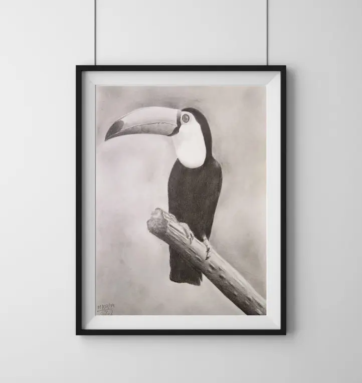 Desenho Realista - Tucano